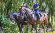 dwie policjantki jadące na koniach służbowych w parku