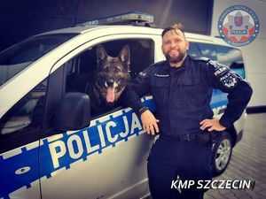 Umundurowany policjant stoi przy radiowozie. Wewnątrz pojazdu, na siedzeniu kierowcy siedzi pies tropiący.