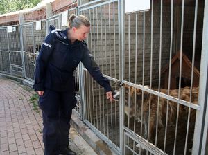 policjantka stojąca przed klatką z psem