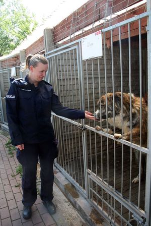 policjantka stojąca przy klatce z psem