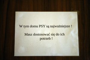 Napis na kartce: W domu PSY są najważniejsze? Masz dostosować sie do ich potrzeb