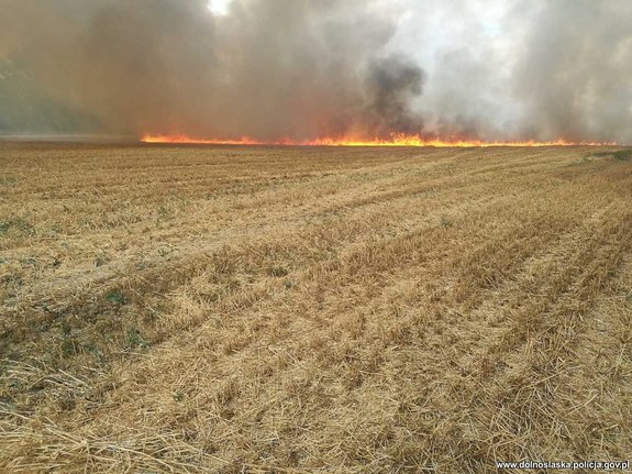 pożar ścierniska