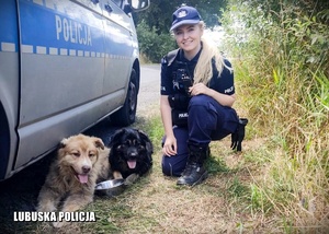 na zdjęciu policjantka i dwa psy przy radiowozie
