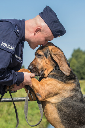 Policjant opiera się nosem o łeb swojego psa służbowego, który stoi na tylnych łapach.