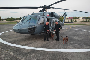 Dwaj policjanci z psami służbowymi obok Black Hawka na lądowisku.
