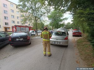 strażak stoi na ulicy za samochodem, który się palił, w tle po bokach inne pojazdy