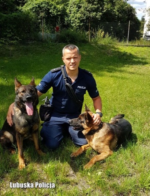 policjant przewodnik z dwoma psami