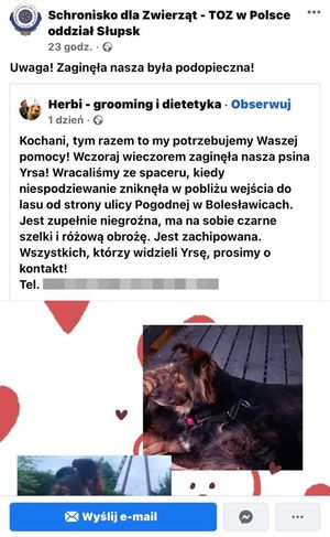 post na jednym z portali społecznościowych dotyczący zaginionego psa
