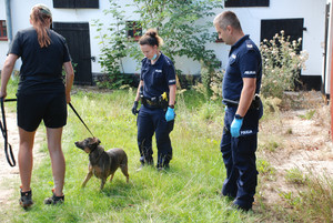 na zdjęciu mundurowi wspólnie z pracownikami GOPS-u w Parchowie i fundacją Animals odbierają zwierzęta właścicielowi