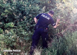 umundurowany policjant w trakcie akcji poszukiwawczej