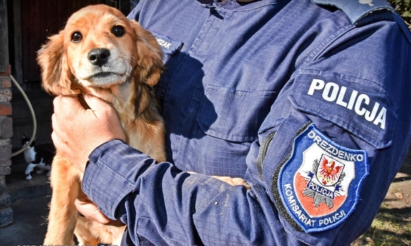 na zdjęciu policjant w mundurze trzyma uratowanego psa na rękach