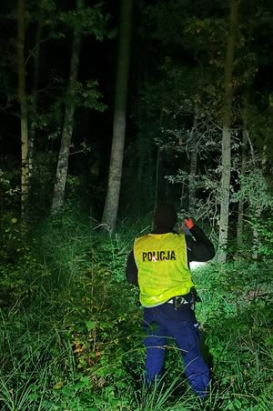 Policjant w mundurze świeci latarką w lesie, w nocy