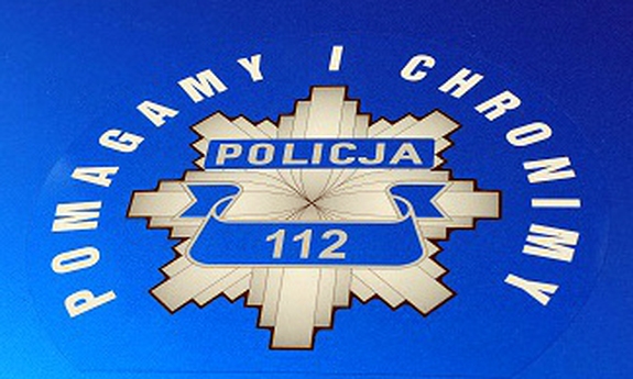 logo Pomagamy i chronimy