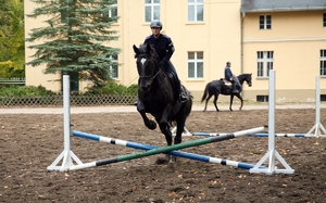 policjant na koniu pokonuje przeszkodę