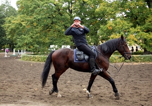 policjant na koniu