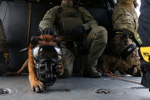 Policyjny pies w specjalnych goglach i kagańcu leży na pokładzie śmigłowca, w tle policyjni kontrterroryści i obsługa śmigłowca.