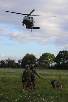 Dwaj policyjni przewodnicy psów oczekują ze swoimi podopiecznymi na lądujący śmigłowiec.