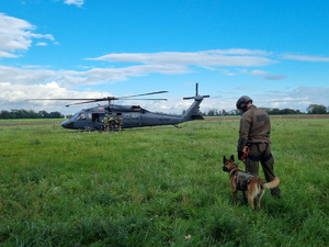 Policjant w umundurowaniu taktycznym wraz ze swoim psem obserwuje kolegów skupionych przy śmigłowcu Black Hawk.