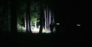Policjanci szukają nocą mężczyzny w lesie, oświetlając teren latarkami