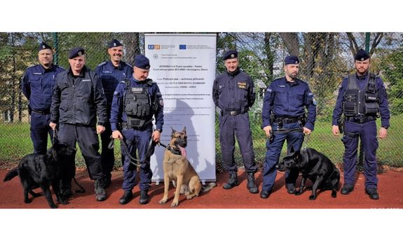 umundurowani polscy i czescy policjanci z psami pozują do zdjęcia