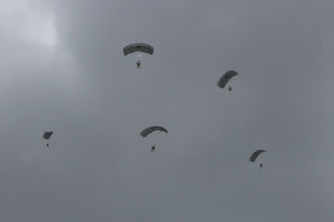Sylwetki kilku spadochroniarzy wysoko na niebie.