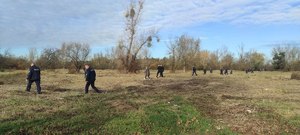 policjanci w trakcie poszukiwań w terenie trawiastym