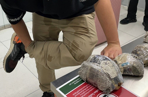 mężczyzna a przed im zapakowane żółwie