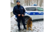 policjant z psem stoi przy radiowozie policyjnym