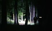 Policjanci w nocy, przy użyciu latarek przeszukują las