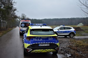 dwa policyjne radiowozy i karetka zaparkowane na drodze przy lesie