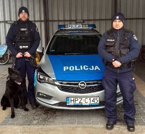 dwóch umundurowanych funkcjonariuszy z psem służbowym stoi przy radiowozie