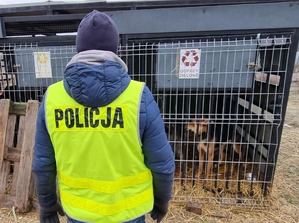 Policjant w kamizelce odblaskowej stojący na tle klatek z psami