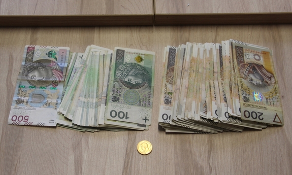 zabezpieczona gotówka i złota kolekcjonerska moneta