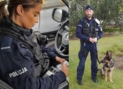 Kolaż dwóch zdjęć. Na zdjęciu po lewej policjantka siedząca w radiowozem za kierownica pisze w notatniku, na zdjęciu po prawej umundurowany policjant stoi z psem