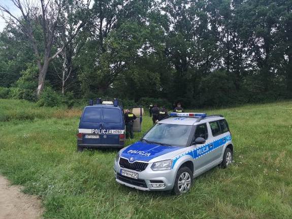dwa policyjne radiowozy na polanie przy lesie