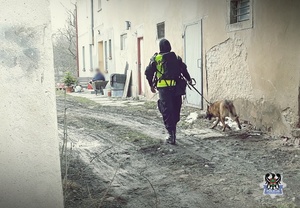 Na zdjęciu policjant i pies policyjny idący przy ścianie starego budynku