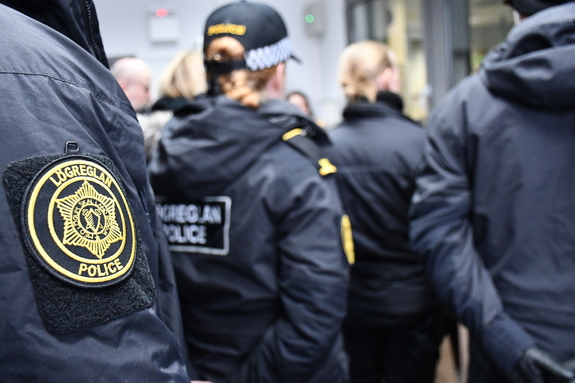 islandzka przewodniczka psów  w kurtce - widok  z tyłu. Z boku widać inne osoby