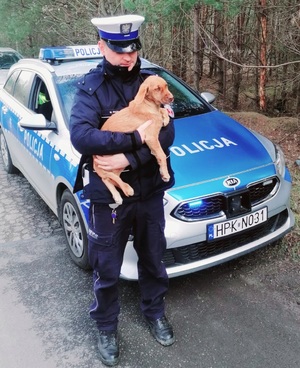 umundurowany policjant wydział9u ruchu drogowego na tle policyjnego radiowozu trzyma na rękach pieska