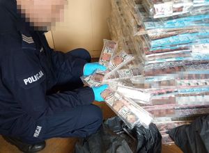 Zdjęcie przedstawia sylwetkę umundurowanego policjanta, który kuca przed stosem ułożonych opakowań z podrobionymi papierosami.