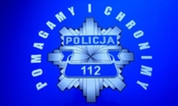 logo Pomagamy i chronimy