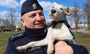 umundurowany policjant z psem służbowym