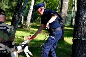 pies służbowy z przewodnikiem