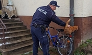 policjant z odzyskanym rowerem seniorki