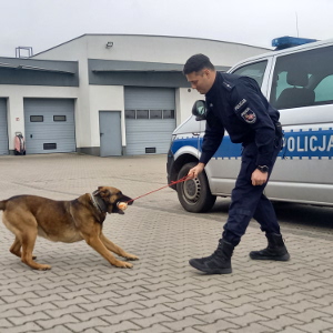 policjant z psem służbowym stoją przy radiowozie