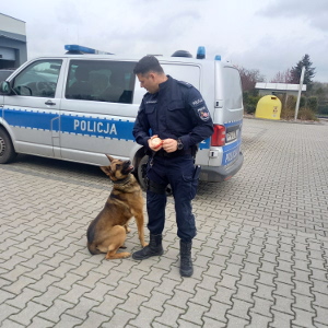 policjant z psem służbowym stoją przy radiowozie