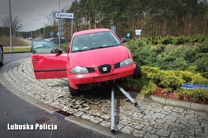 auto osobowe koloru czerwonego na środku ronda