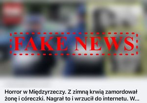 Zdjęcie przedstawia plakat z czerwonym napisem FAKE NEWS.