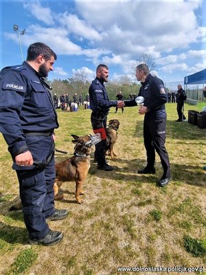Na zdjęciu policjant zakładający gratulacje i przekazujący puchar jednemu z przewodników psów stojącego z psem. Obok stoi inny przewodnik z psem