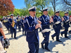 Orkiestra zagrała w Łazienkach Królewskich