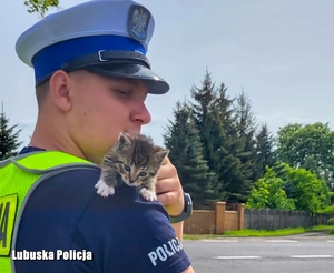 policjant ruchu drogowego trzyma małego kotka na ramieniu